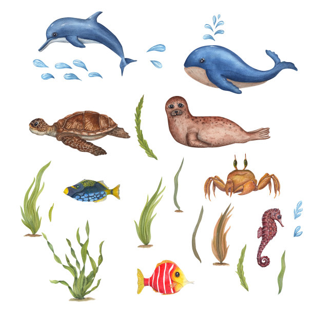 水彩海集可爱的鲸鱼，海豚，海豹，螃蟹，鱼类，海马，海龟和海藻孤立在白色背景。用于婴儿纺织品，壁纸，幼儿园装饰。卡通风格。图片下载