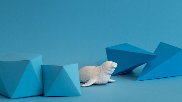 前视图动物分类图片下载