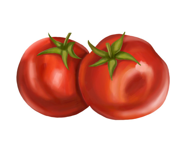 红色成熟的肉质番茄。白色背景上的数字插图图片下载