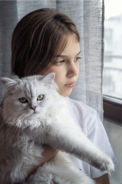 女孩与银阴影栗鼠猫在手中图片下载