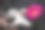 可爱的黑白猫坐在女主人的手上，用爪子触摸花朵图片下载