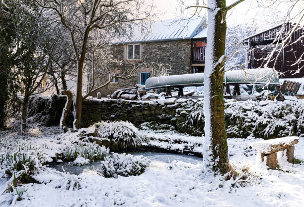 雪在树与建筑物的背景，也在林地-库存照片图片下载