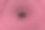 卷地毯，紫色螺旋地毯的纹理，特写图片下载