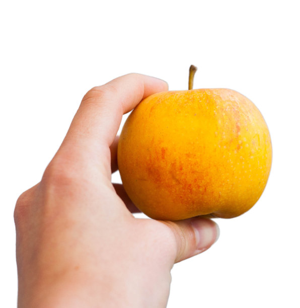 白色背景的苹果图片下载