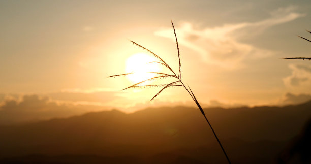 美丽的景观与草地上的阳光。乡村天堂惊人的田野景象，草地上的阳光自然黎明。夕阳拂晓，山水纵横，风光勃勃图片下载