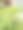 非常迷人的清晨绿色植物摄影图片下载