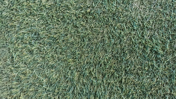 绿草如茵的足球场背景图片下载