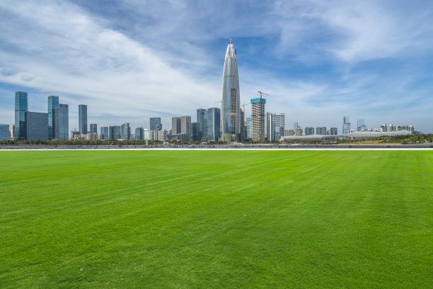 中国深圳的草地和城市图片下载