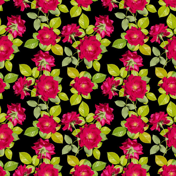 黑色背景上红玫瑰的无缝图案。图片下载