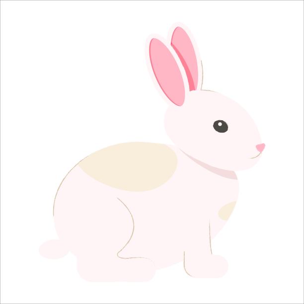 白色的兔子。复活节兔子插图图片下载