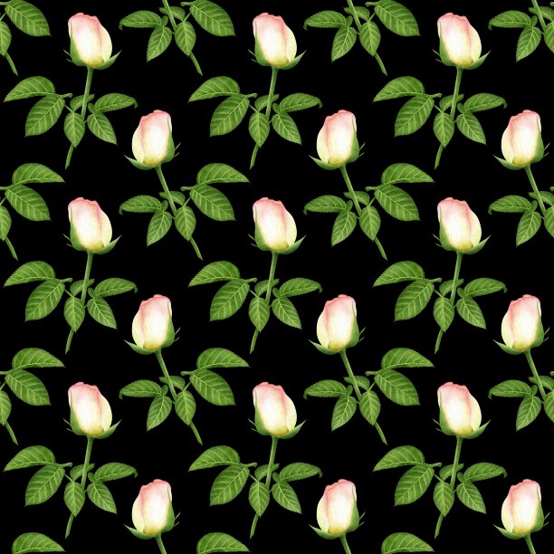 黑色无缝背景与盛开的数字水彩玫瑰图片下载