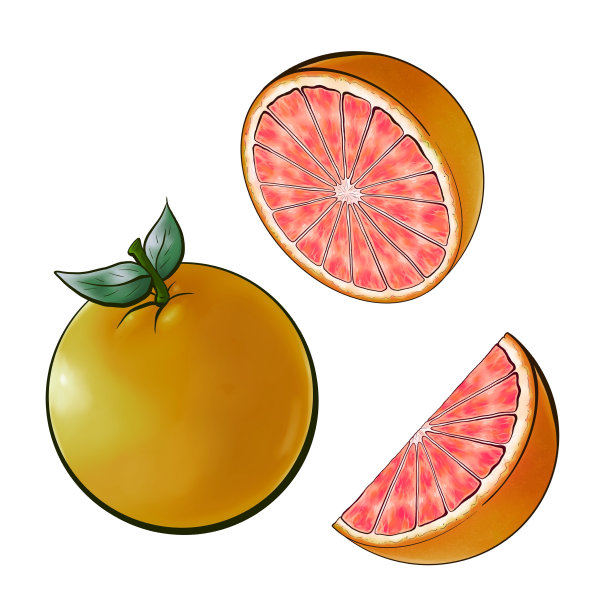 葡萄柚图片下载