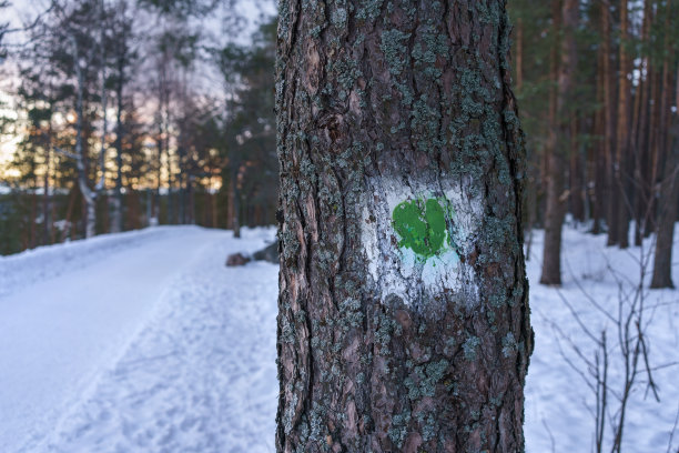 冬季，芬兰拉赫蒂的Lehmusreitti (Tilia Trail)步道标志。图片下载