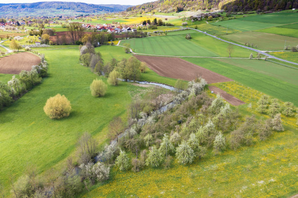 春天在法兰克的瑞士/德国图片下载