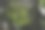 红砖上苔藓的高分辨率特写照片图片下载