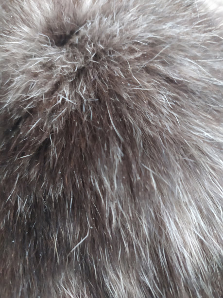 一张毛茸茸的地毯的特写图片下载