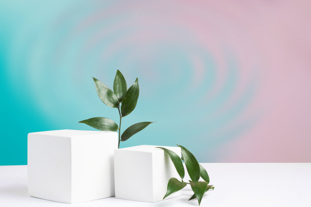 化妆品柔和的蓝色紫丁香抽象背景几何形状和一个ruskus分支。两个立方的讲台。用于展示化妆品的模型图片下载