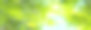 模糊抽象的春天背景与散焦的灯光和太阳，从下面看绿色的树木和蓝天，自然田园诗的旗帜与复制空间图片下载