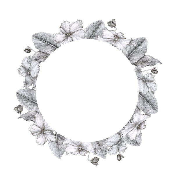 圆形框架从非洲紫罗兰(圣保利亚)。手绘图形。设计明信片，邀请，问候，印刷，标志，标签。情人节、婚礼、生日、周年纪念日、母亲节等。图片下载