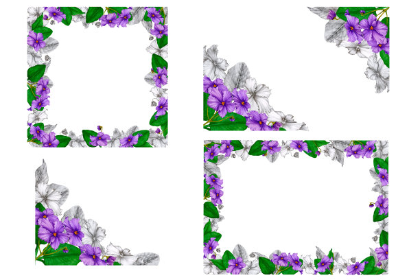 非洲紫罗兰花框架设置。手绘水彩和图形。设计明信片，邀请，问候，印刷，标志，标签。情人节、婚礼、生日等等。图片下载