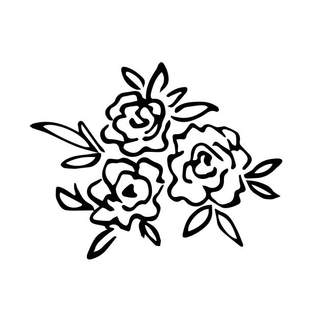 简单的手绘黑色轮廓矢量插图。有花园茶玫瑰和牡丹的香味。用墨水写生。图片下载