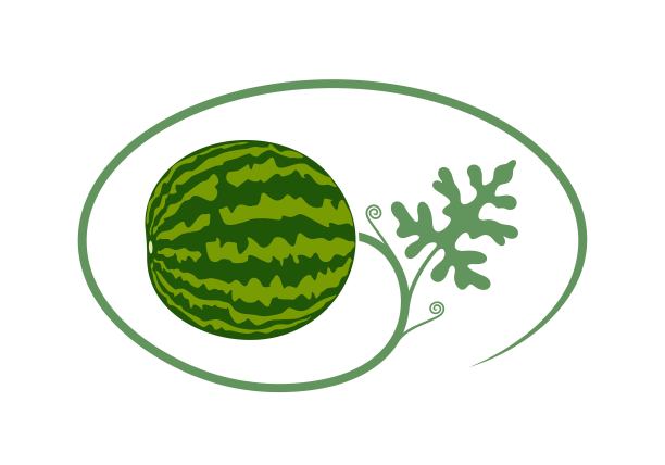 西瓜植物。白色背景的孤立西瓜图片下载