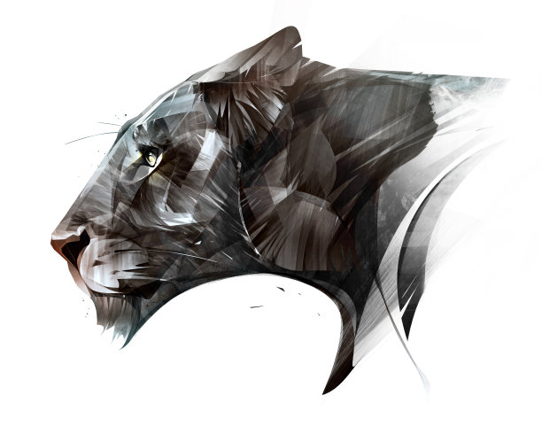 图形绘制的狮子的动物脸图片下载