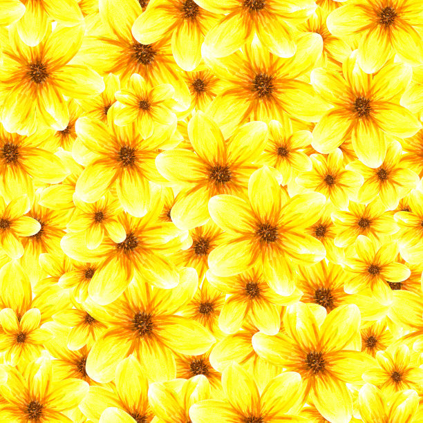 无缝图案与花卉。水彩画抽象明亮的夏季黄花。白色背景上孤立的物体图片下载