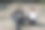 在拉丁美洲的墨西哥，一对年轻的西班牙夫妇在摇滚风格的街道上弹吉他图片下载