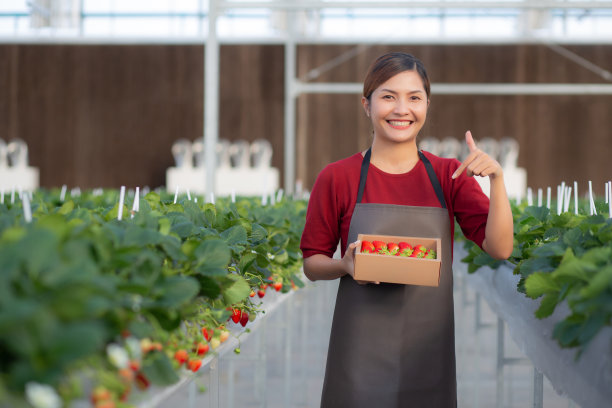肖像美丽的年轻亚洲妇女拿着盒子草莓在农场在温室，女性收获成熟的草莓包装与快乐，农业和种植，小的经营理念。图片下载