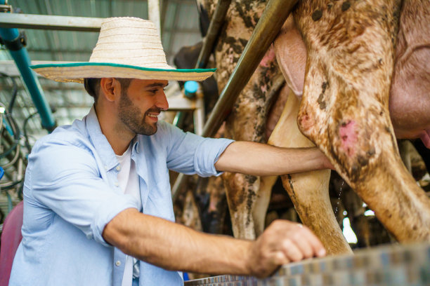 奶畜农民。图片下载