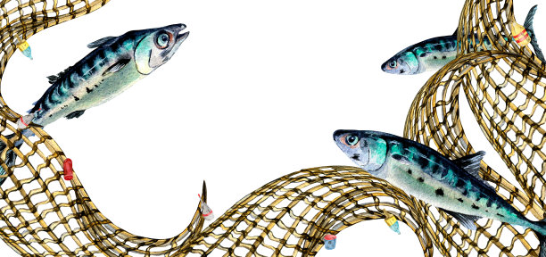 构成鲭鱼和渔网水彩插图孤立在白色。图片下载