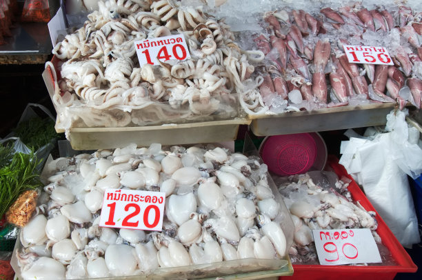 市场上的墨鱼图片下载