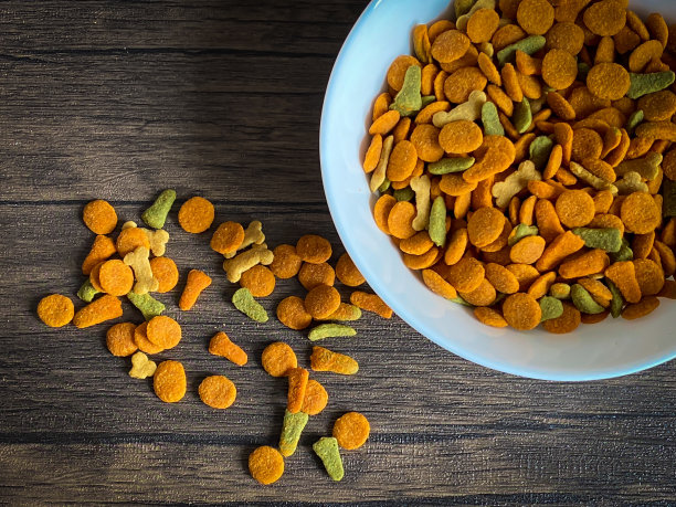 狗粮准备在木头背景上吃图片下载