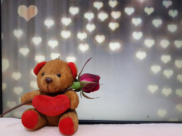 美丽的壁纸图片与泰迪熊与玫瑰图片下载