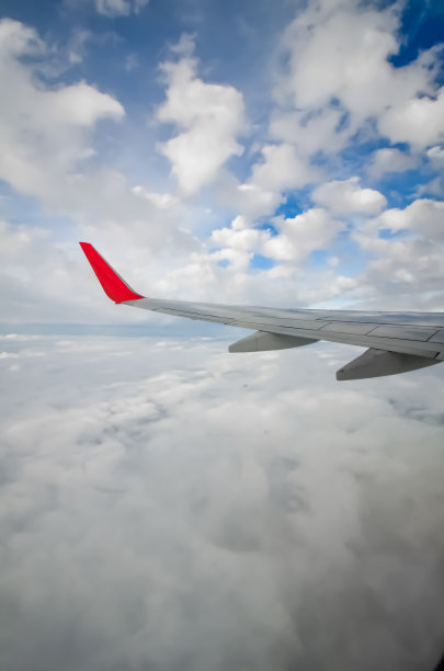 飞向云端图片下载