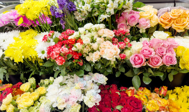 在园艺中心买花。图片下载