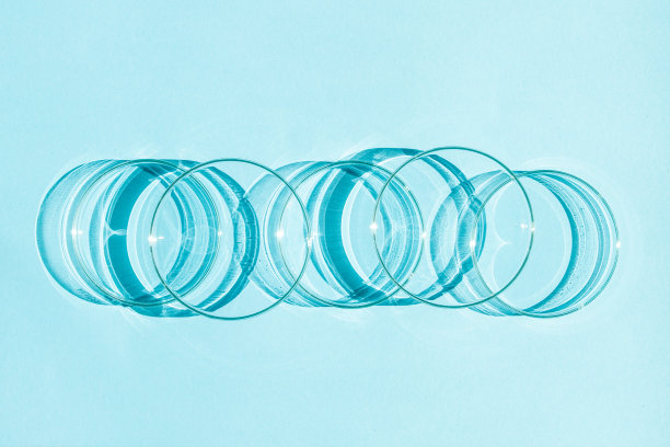 培养皿中。一套培养皿。在蓝色的背景上。图片下载