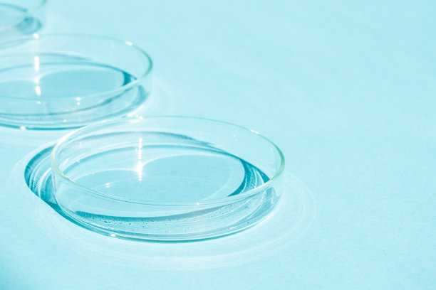 培养皿中。在蓝色的背景上。图片下载