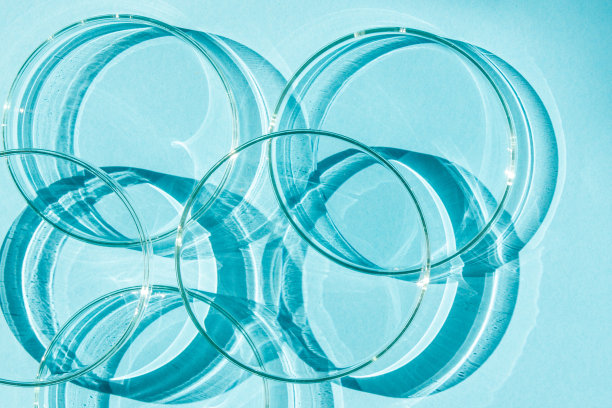 培养皿中。一套培养皿。在蓝色的背景上。图片下载