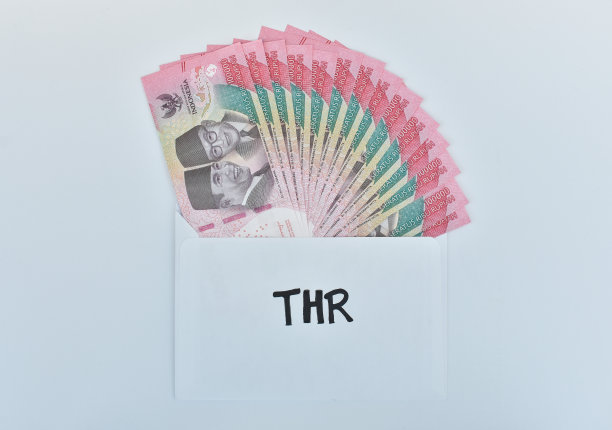 THR或假期津贴图片下载