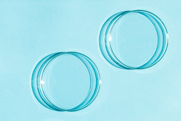 培养皿中。一套培养皿。在蓝色的背景上。图片下载