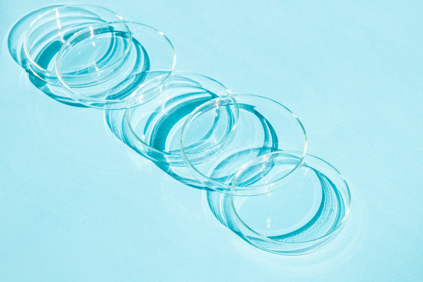 培养皿中。一套培养皿。在蓝色的背景上。图片下载
