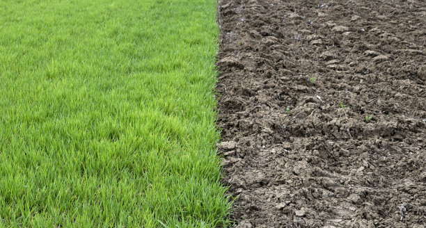 差异概念图片下载