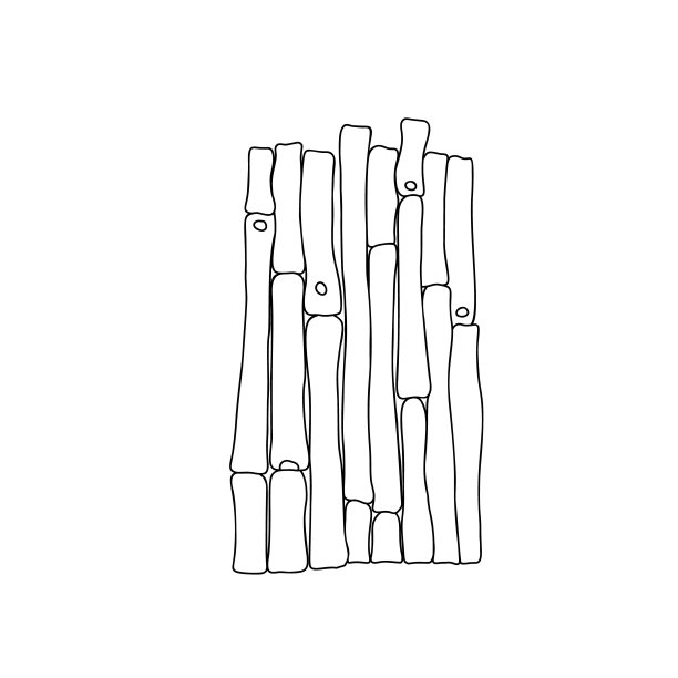 竹棍绳栅栏的日式园林设备矢量插画，勾勒黑白形象，东方文化装饰设计元素图片下载