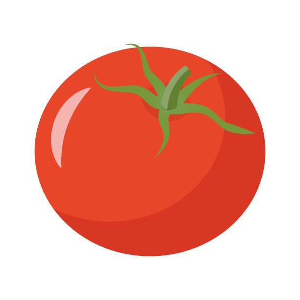 一个红色的新鲜番茄，一个印刷产品的矢量插图或一个网站的图标。图片下载