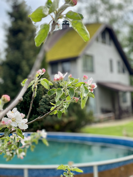 带水池的春院图片下载