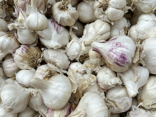 在印度当地新鲜农产品市场出售的大蒜鳞茎的全帧图像，高架视图图片下载