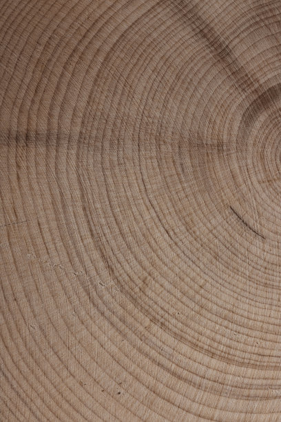 褐色自然图案在室内工作室拍摄。图片下载