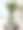 近距离图片的修剪龙树(Dracaena marginata)，在公共走廊上有拼板树干，瓷砖地板上的木盒，圆形和漩涡图案的墙砖，重点在前景图片下载